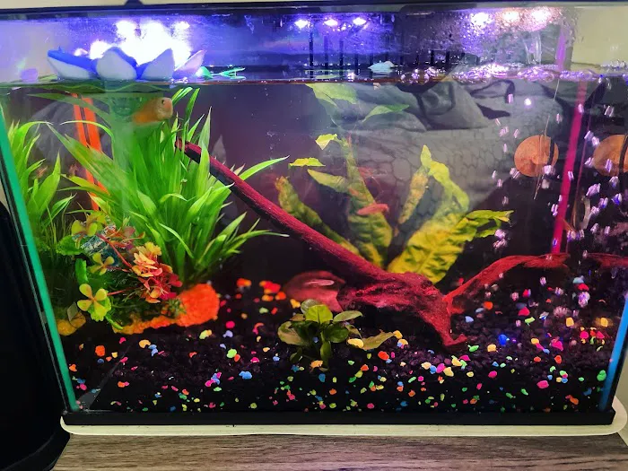 DMV aquarium hookup Picture 4