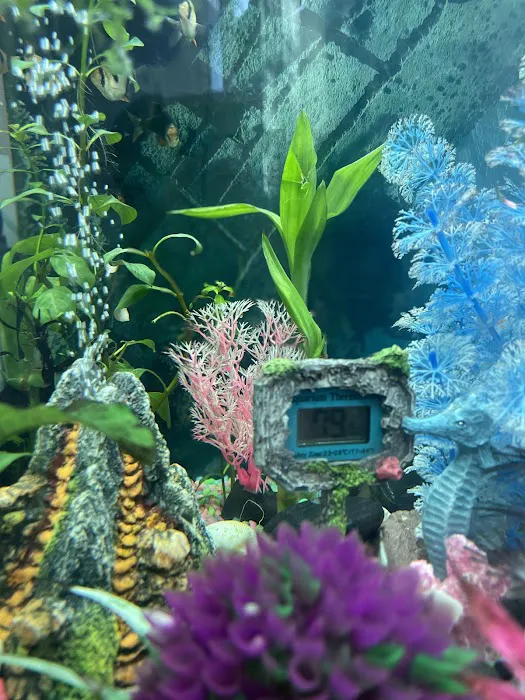DMV aquarium hookup Picture 5
