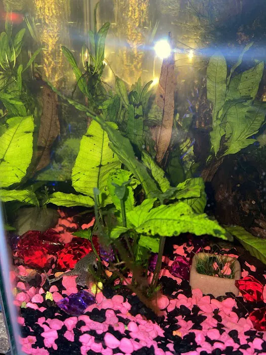 DMV aquarium hookup Picture 7