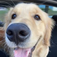Scotch Plains Animal Hospital ico