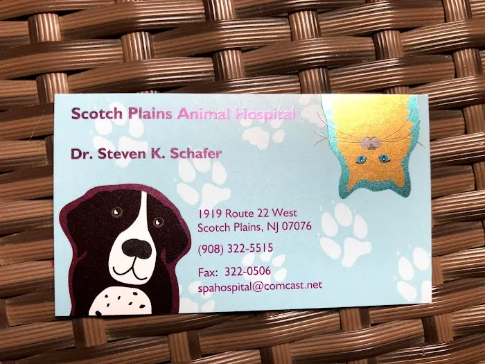 Scotch Plains Animal Hospital Picture 6