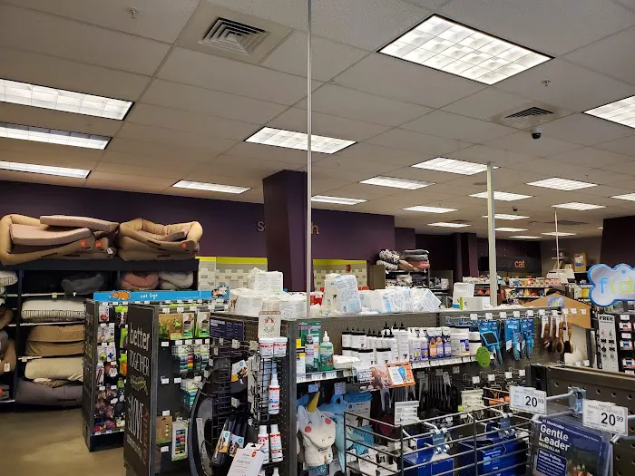 Berkeley Heights Animal Hospital Picture 2
