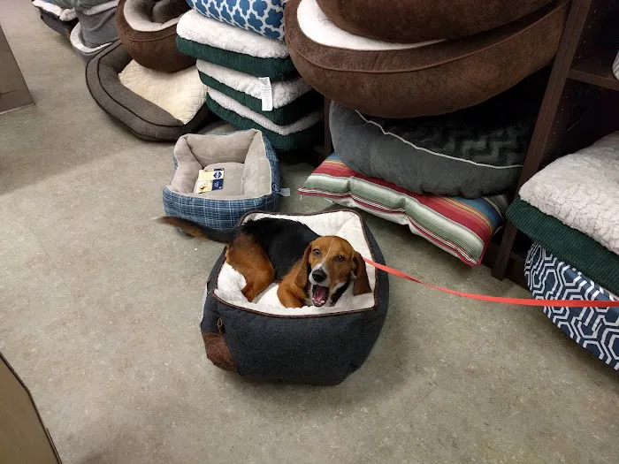Unleashed by Petco Picture 1