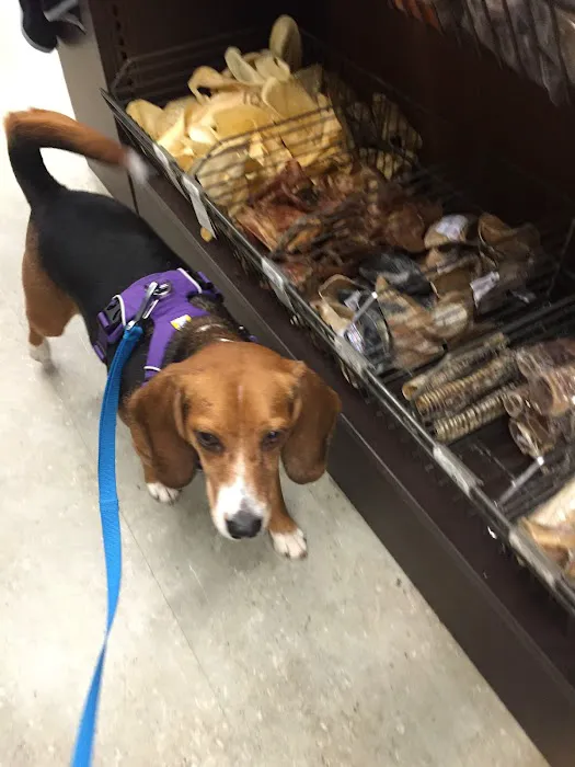 Unleashed by Petco Picture 3