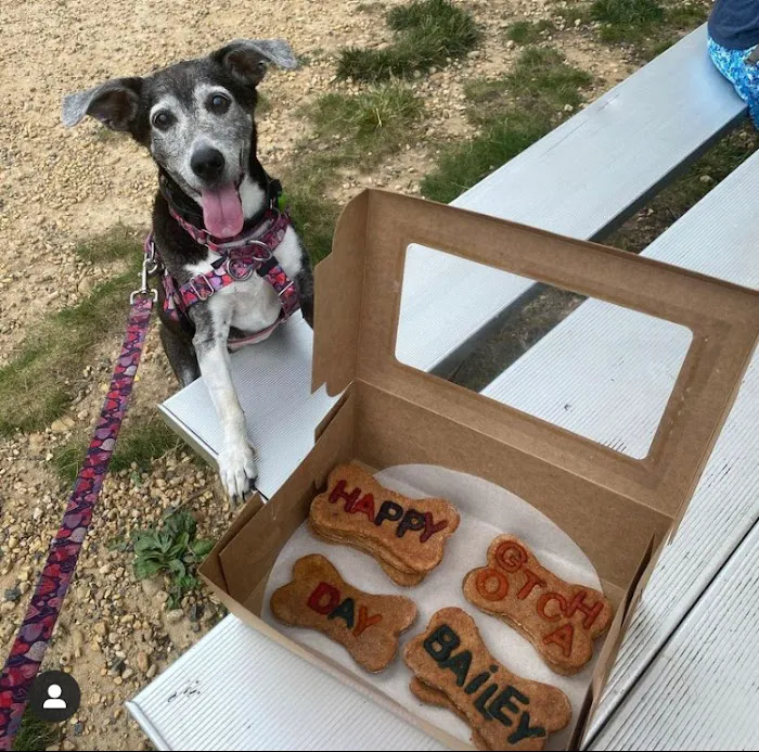 PawzFurTreats Picture 4