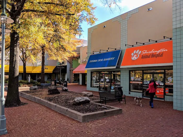 Dogma Bakery - Village at Shirlington Picture 1