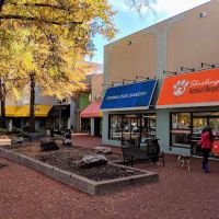 Dogma Bakery - Village at Shirlington ico