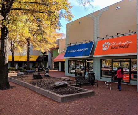 Dogma Bakery - Village at Shirlington