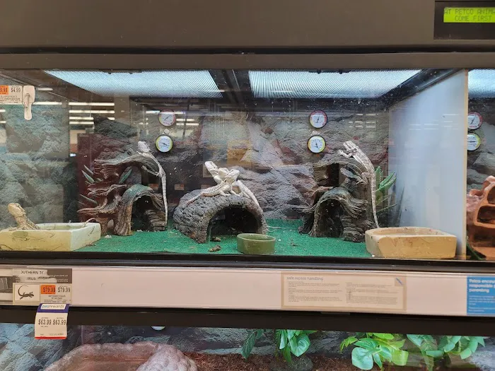 Petco Picture 4