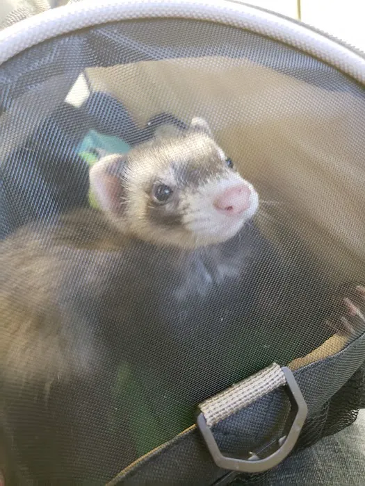 Middletown Animal Hospital Picture 7