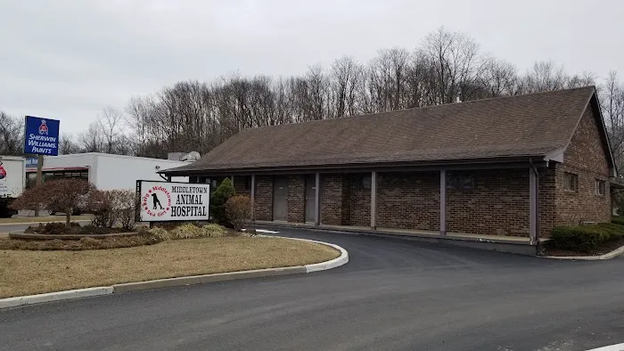 Middletown Animal Hospital Picture 9