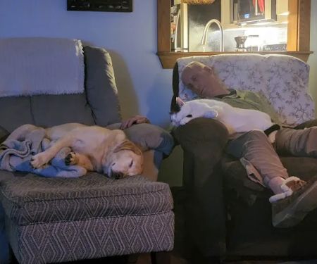Denise's Pet Center