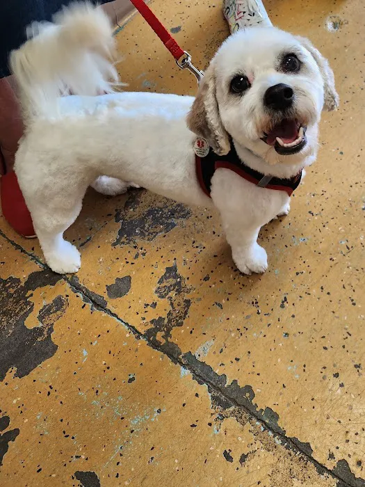 Denise's Pet Center Picture 4