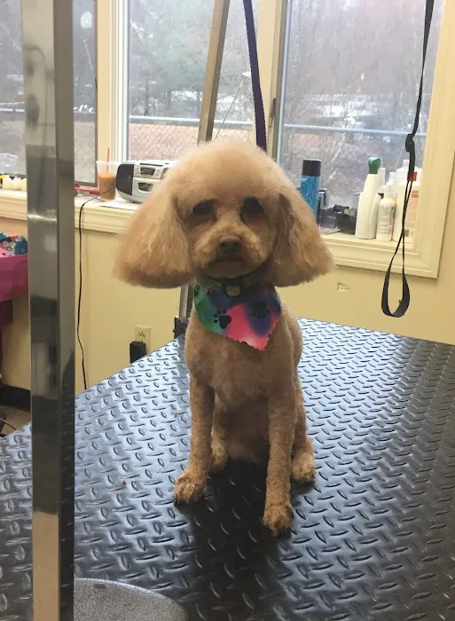 Denise's Pet Center Picture 6
