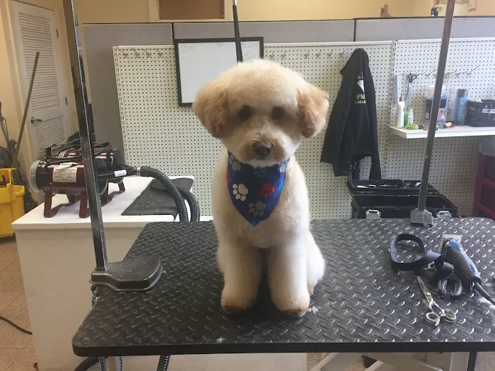 Denise's Pet Center Picture 10
