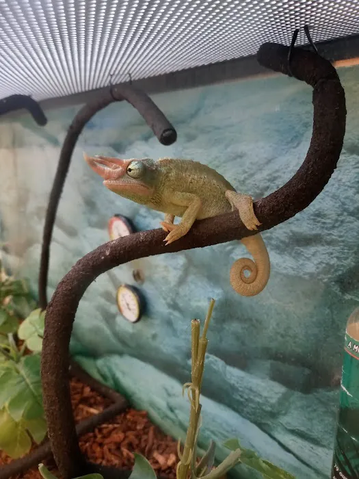 Petco Picture 1