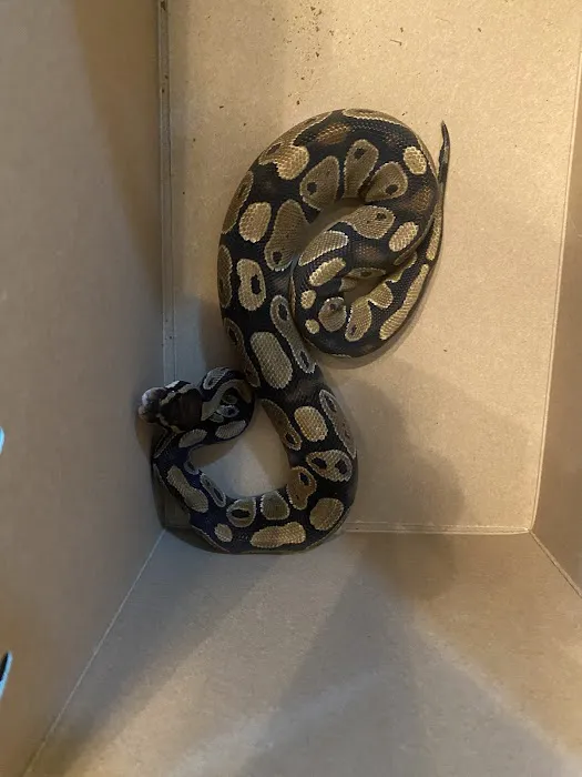 Petco Picture 2