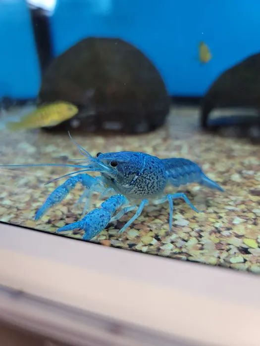 Petco Picture 5