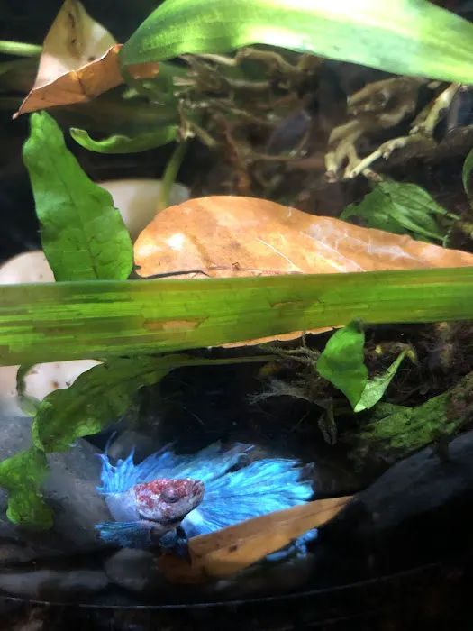 Petco Picture 8