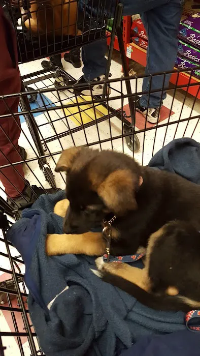 Petco Picture 6