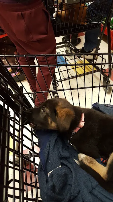 Petco Picture 9