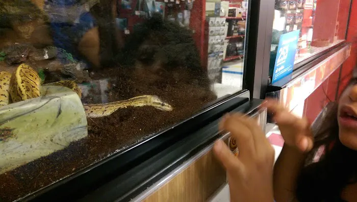 Petco Picture 8