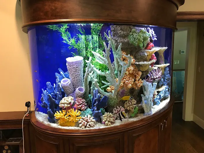 Aqua Vision Tech Picture 1