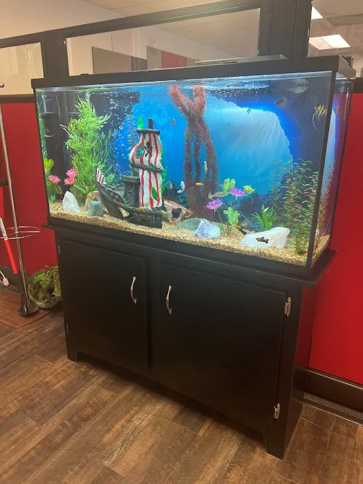 Aqua Vision Tech Picture 6