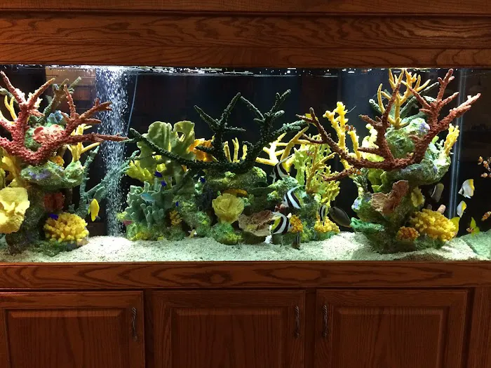 Aqua Vision Tech Picture 4