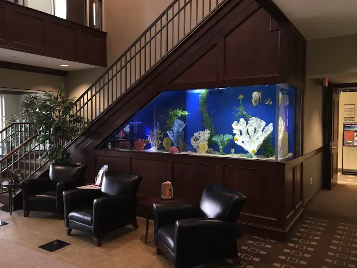 Aqua Vision Tech Picture 8