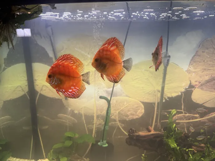 Aqua Vision Tech Picture 7