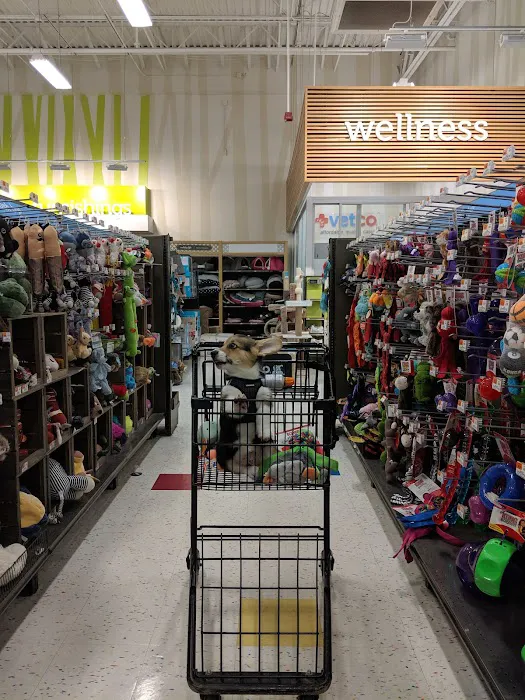 Petco Picture 4