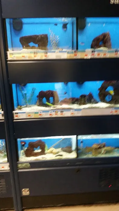 Petco Picture 5
