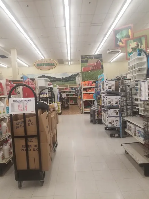 Petco Picture 2