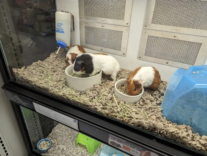 Petco Picture 4