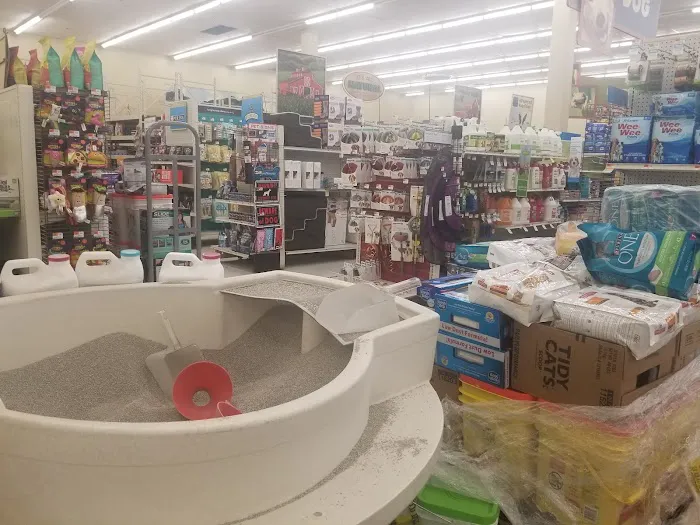 Petco Picture 10
