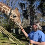 Nautilus Avian & Exotics Veterinary Specialists