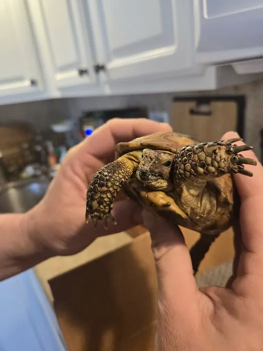 Nautilus Avian & Exotics Veterinary Specialists Picture 2