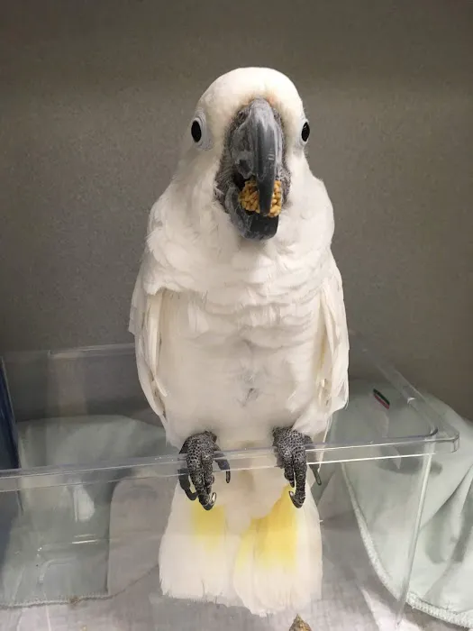 Nautilus Avian & Exotics Veterinary Specialists Picture 5