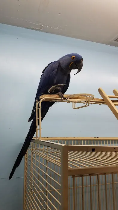 Pet Shop Picture 1