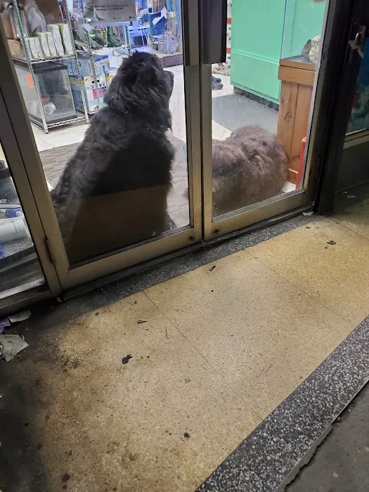 Pet Shop Picture 3