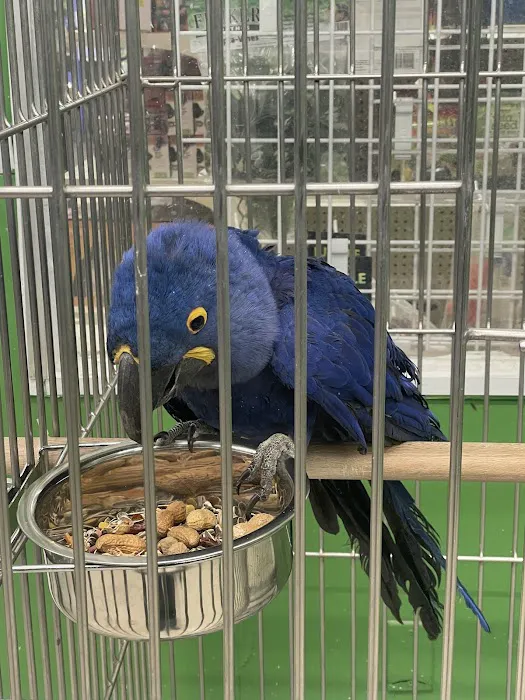Pet Shop Picture 5