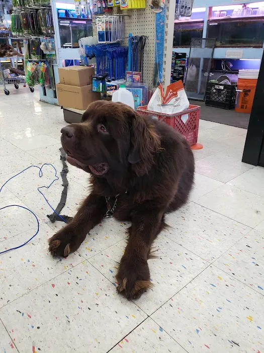 Pet Shop Picture 6