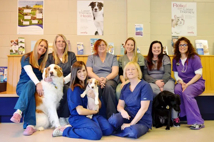 Laurelton Veterinary Hospital Picture 1