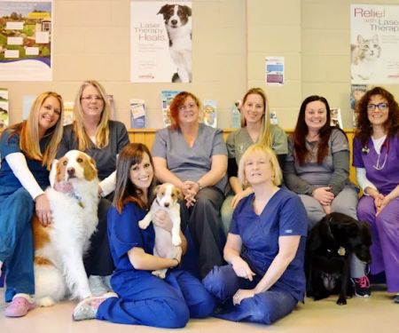 Laurelton Veterinary Hospital