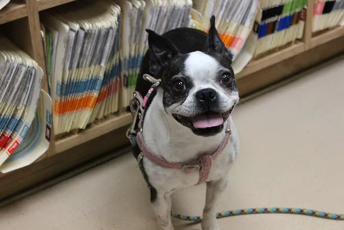 Laurelton Veterinary Hospital Picture 8