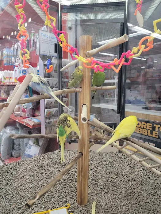 Petco Picture 1