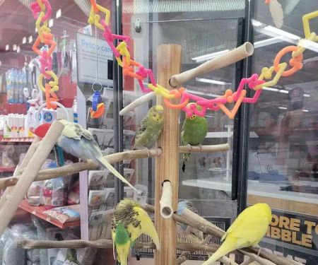 Petco