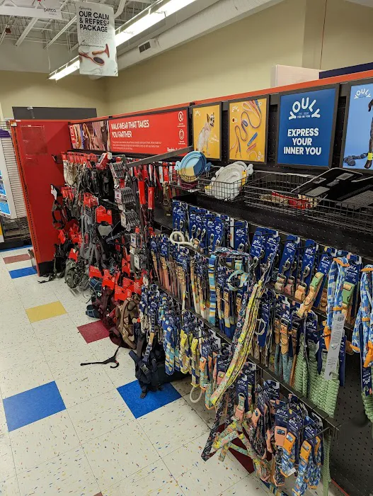 Petco Picture 2
