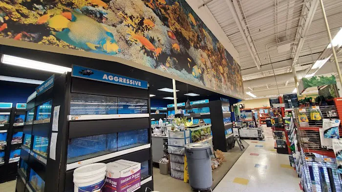 Petco Picture 4